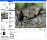 GdPicture Light Imaging SDK - Site License screenshot